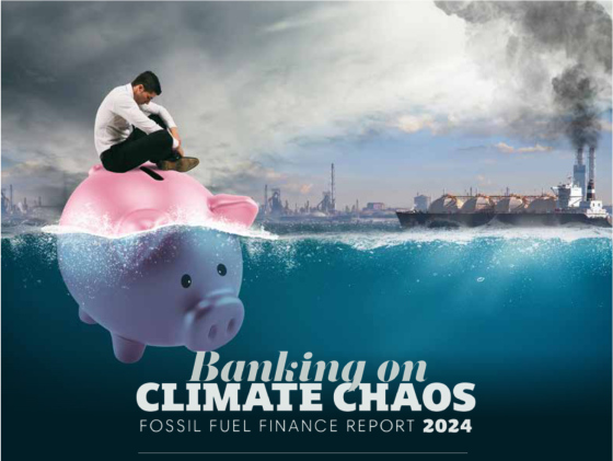 Banker swimming on pig in climate chaos!